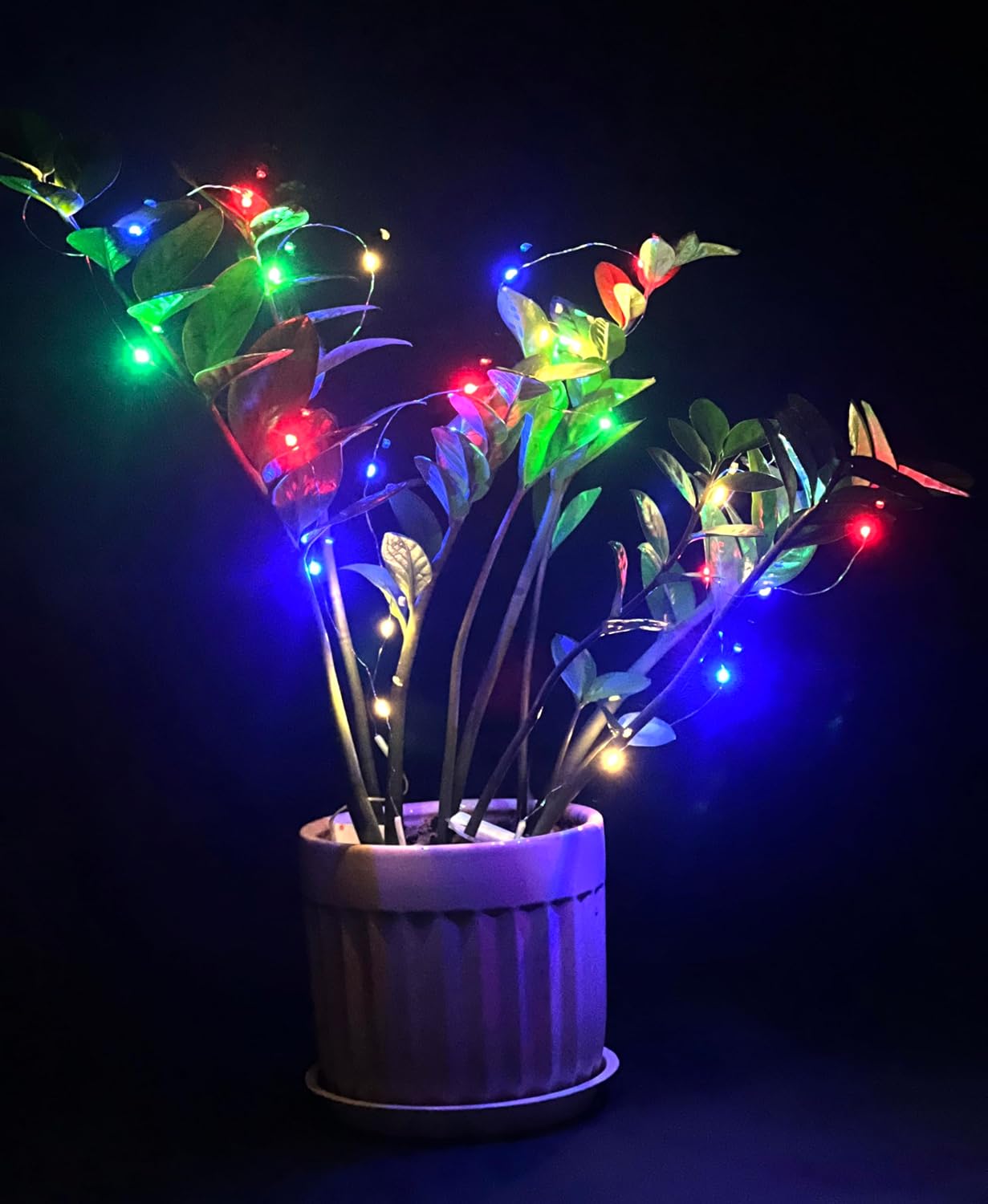 waterproof led string — only the battery pack must stay dry
