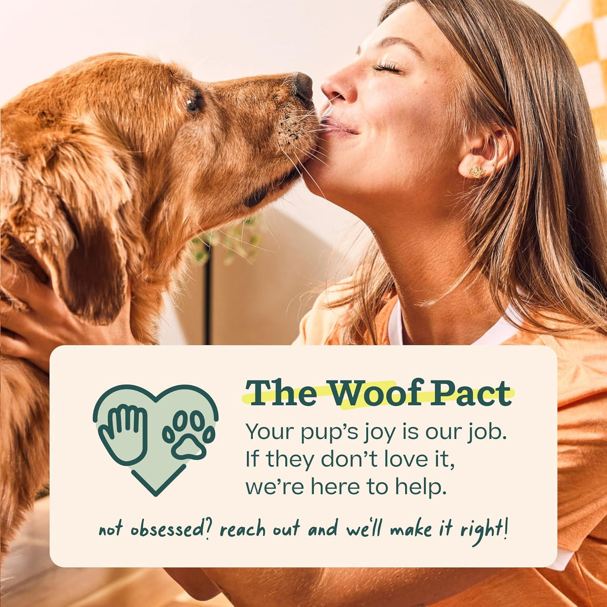 WOOF Pupsicle Birthday Refill Pops Dog Treats, Large – No-Mess Lick Treat for Toddler-Friendly Gotcha Day Photos
