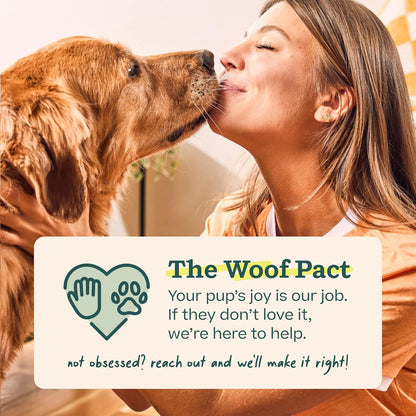 WOOF Pupsicle Birthday Refill Pops Dog Treats, Large – No-Mess Lick Treat for Toddler-Friendly Gotcha Day Photos