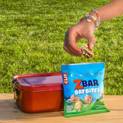 Zbar Oat Bites - Iced Oatmeal Cookie - USDA Organic School Lunchbox Snack for Kids - 6 Individually Wrapped Whole Grain Packs