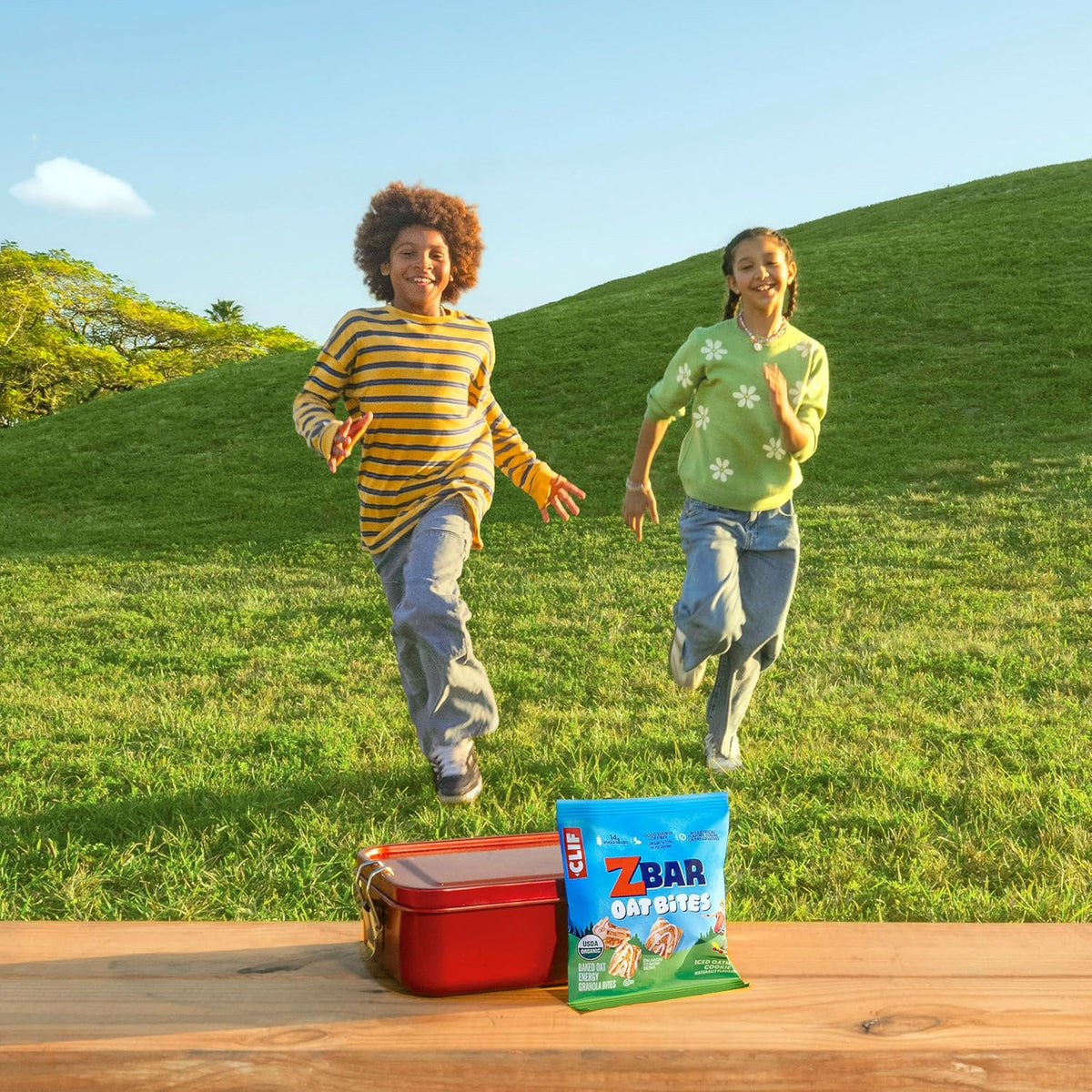 Zbar Oat Bites - Iced Oatmeal Cookie - USDA Organic School Lunchbox Snack for Kids - 6 Individually Wrapped Whole Grain Packs