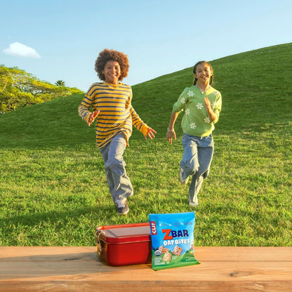 Zbar Oat Bites - Iced Oatmeal Cookie - USDA Organic School Lunchbox Snack for Kids - 6 Individually Wrapped Whole Grain Packs
