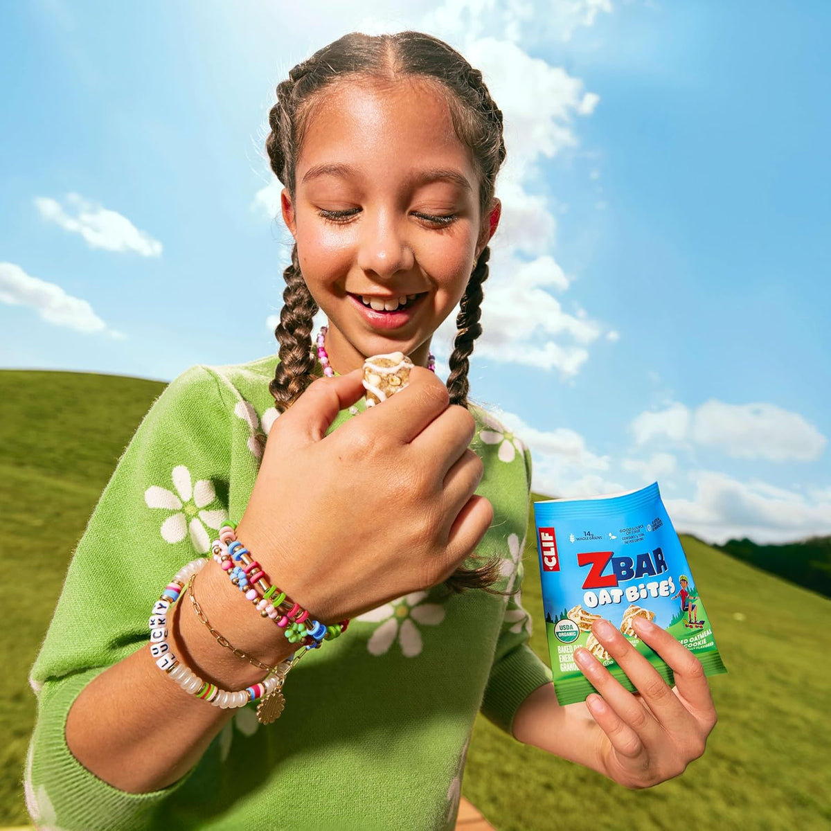 Zbar Oat Bites - Iced Oatmeal Cookie - USDA Organic School Lunchbox Snack for Kids - 6 Individually Wrapped Whole Grain Packs