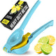 Cool Blue and Yellow